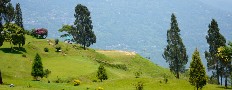 Tour Operator in Siliguri